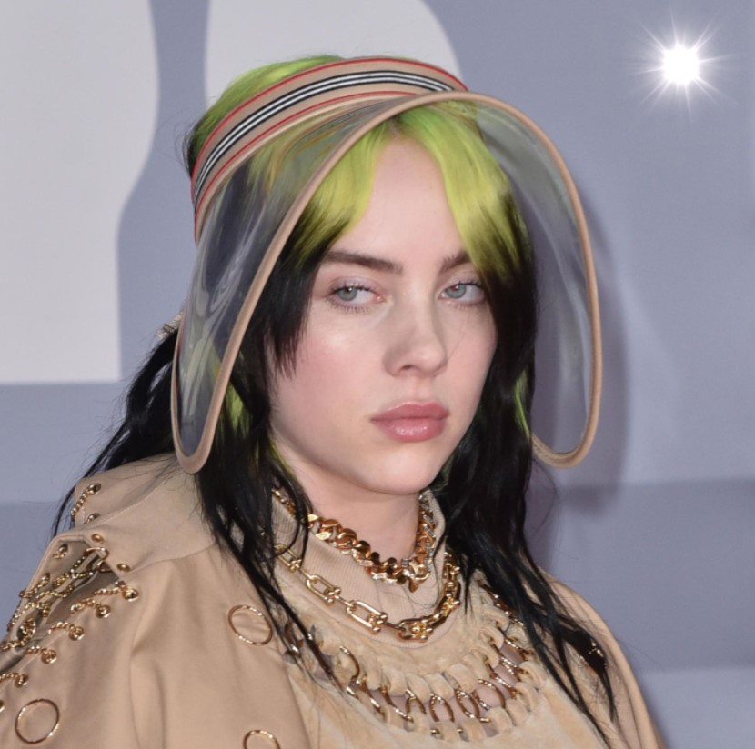 Billie Eilish bikini Image and her reaction